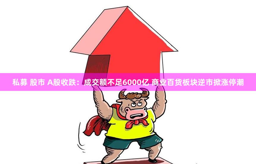 私募 股市 A股收跌：成交额不足6000亿 商业百货板块逆市掀涨停潮