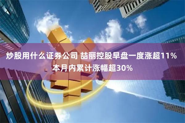 炒股用什么证券公司 喆丽控股早盘一度涨超11% 本月内累计涨幅超30%