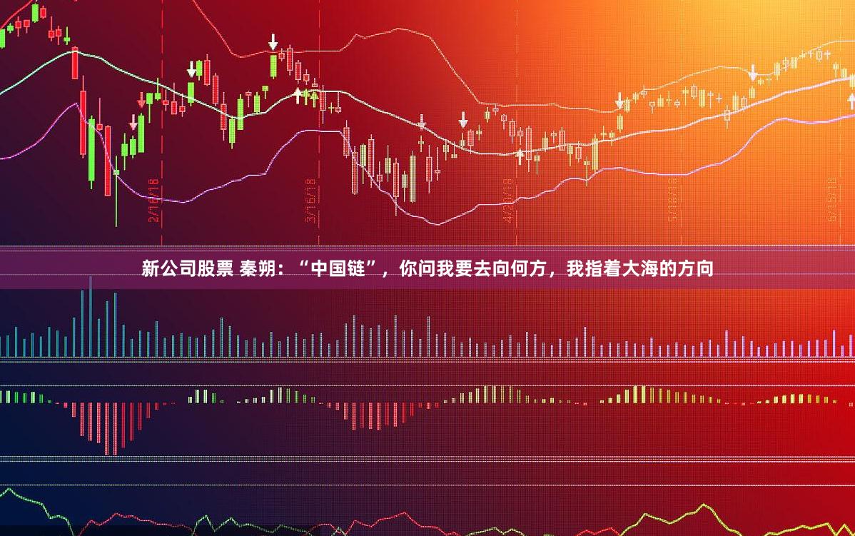 新公司股票 秦朔：“中国链”，你问我要去向何方，我指着大海的方向