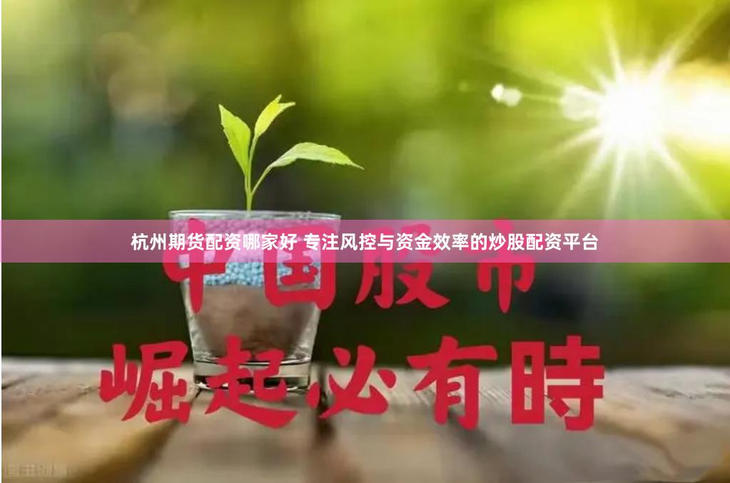 杭州期货配资哪家好 专注风控与资金效率的炒股配资平台
